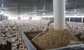 Biosafety to aim for export: Keeping up with the world's trend